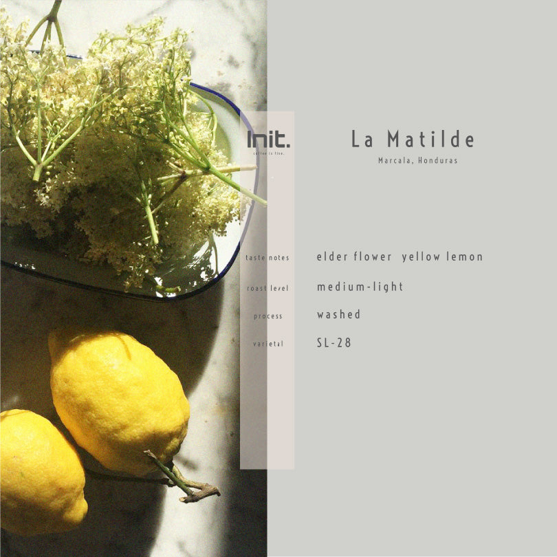 Coffee Whole Bean - La Matilde (200g)