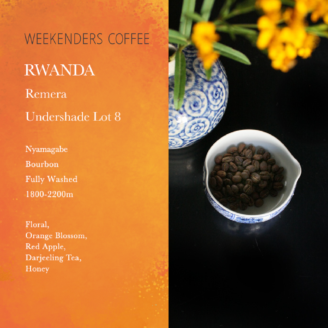 Weekenders - RWANDA Remera Undershade Lot 8 (100g)