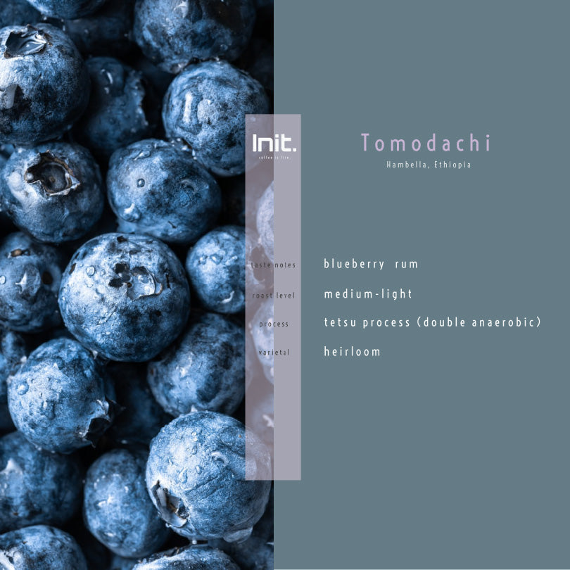 Coffee Whole Bean - 'Tomodachi' Ethiopia Hambella (200g)